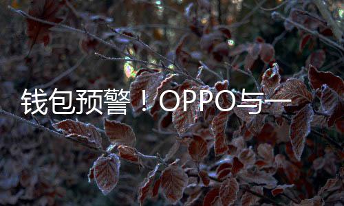 预警O与一加3月涨价官宣钱包日起部分手机
